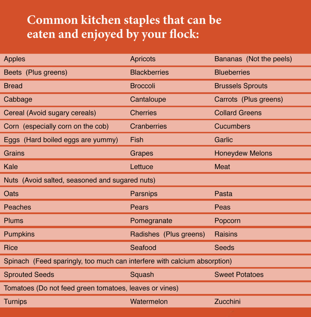 Poultry Feed and Health Guide Backyard Poultry